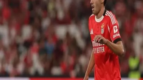 大连足球社团简介